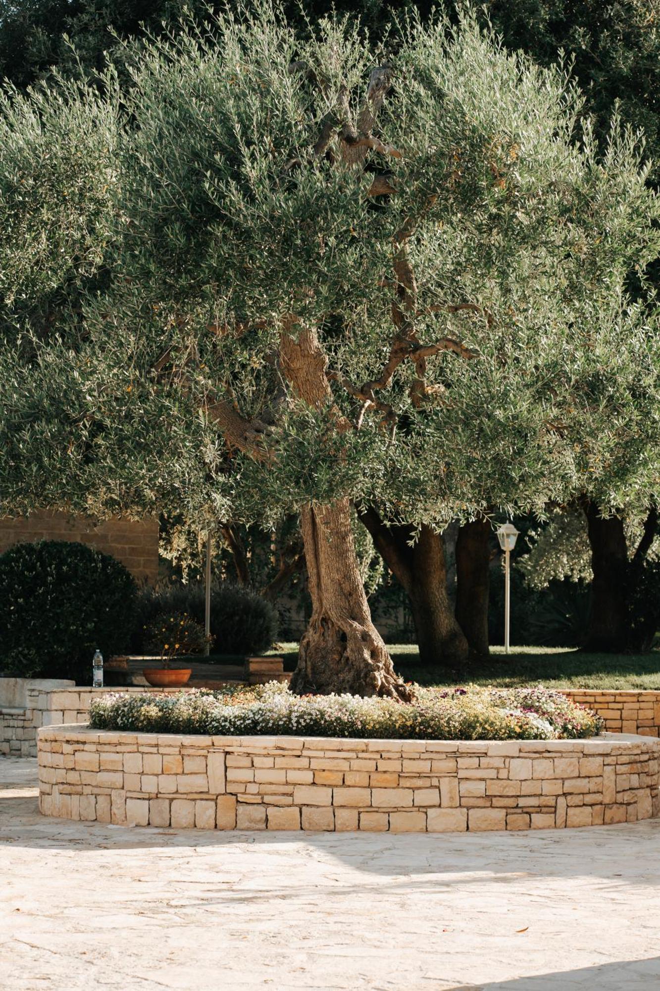 Bed and Breakfast San Marco Antico Relais Bitonto Esterno foto