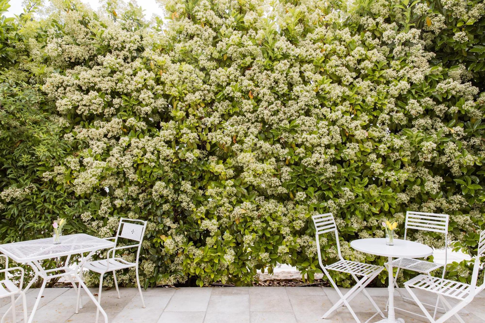 Bed and Breakfast San Marco Antico Relais Bitonto Esterno foto